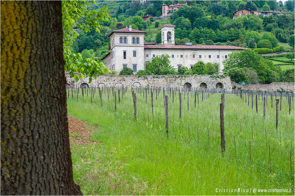 Val d'Astino: monastero e bosco dell'Allegrezza