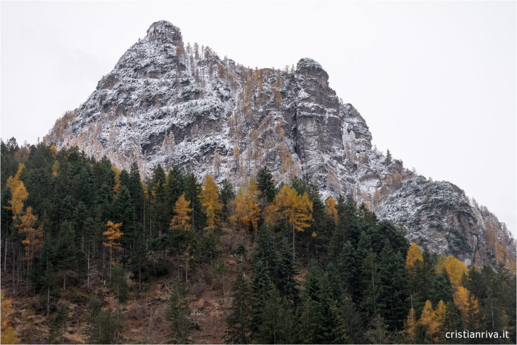 Ciaspolata alla baita del colet