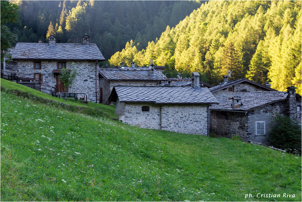 Anello Madonnino e Reseda