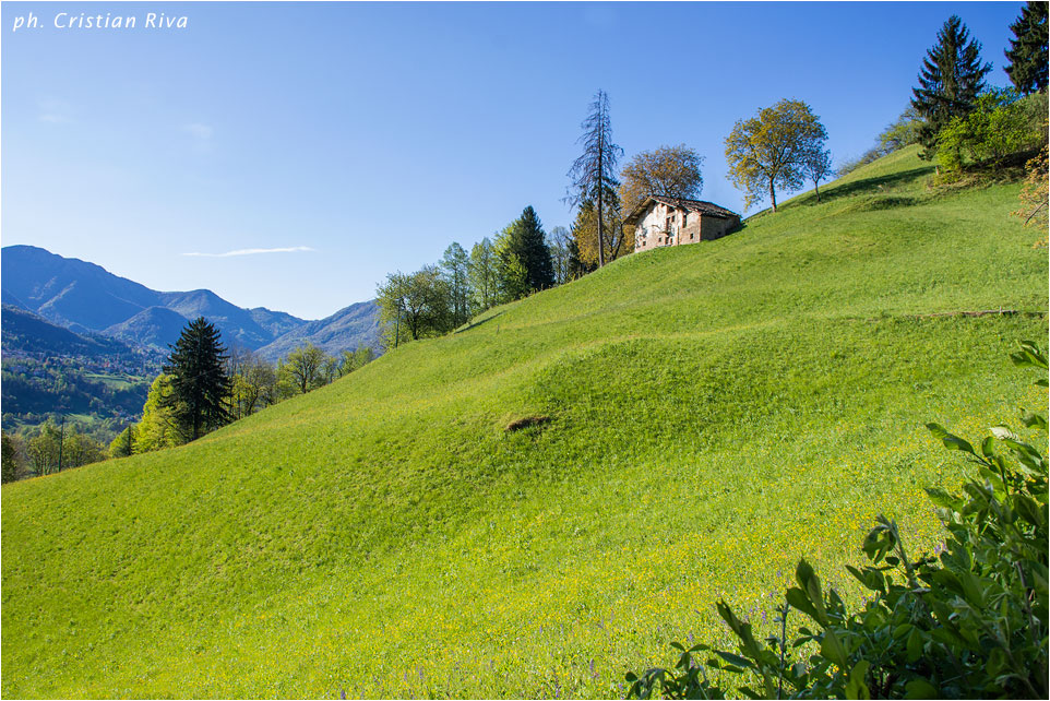 Anello di San Calimero