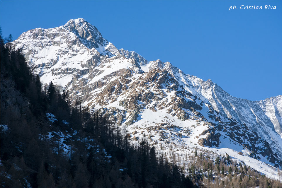 Anello Alpe Oro