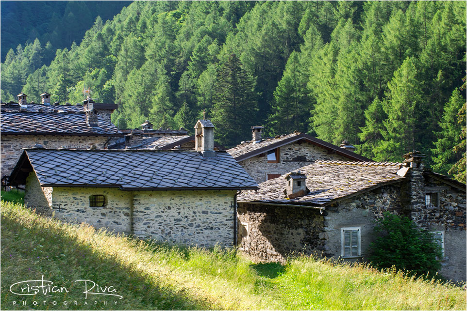 Anello Pes Gerna e Masoni