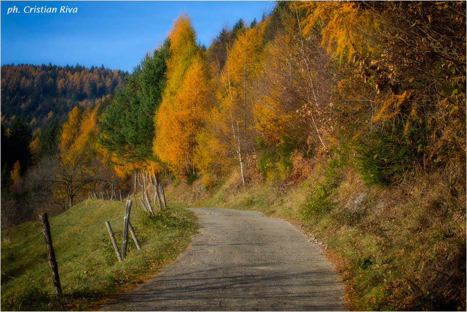 Autunno sul Piz Tri