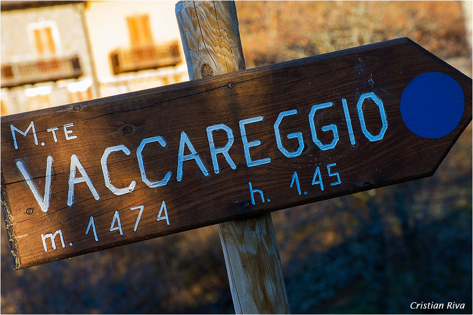 Monte Vaccareggio