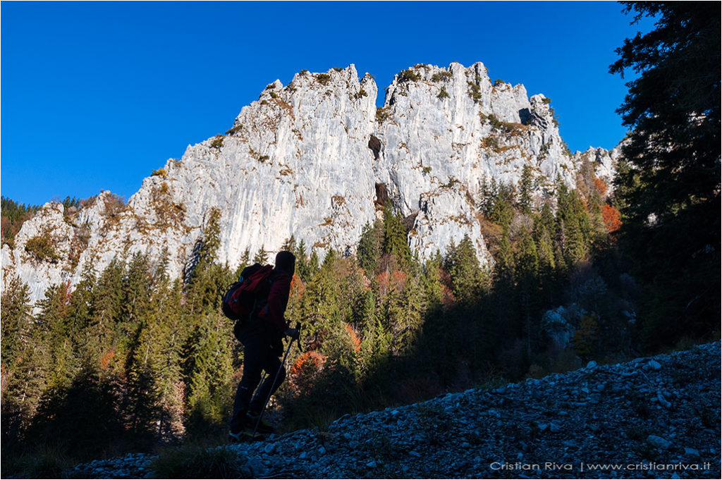 Tra i larici di Monte Colle