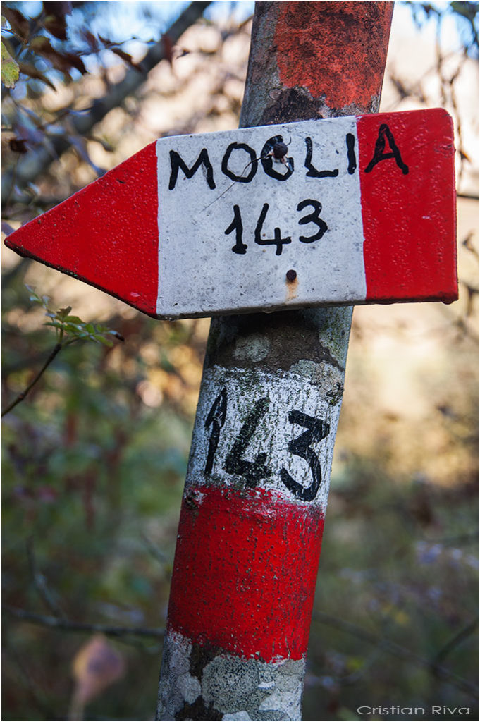 Val Trebbia - Anello del Brugnello: indicazioni per Moglia