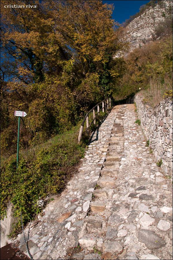 Sentiero attrezzato del Gallavesa