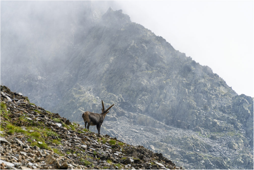 Pizzo Cantolongo