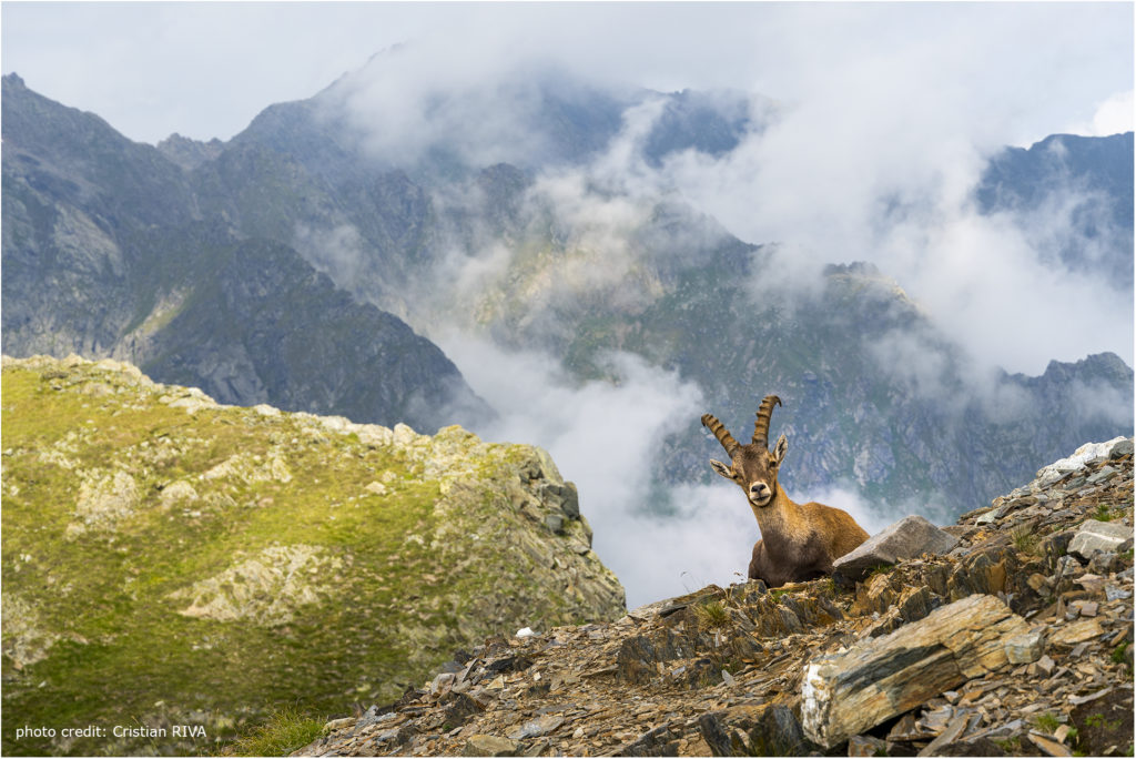 Pizzo Cantolongo