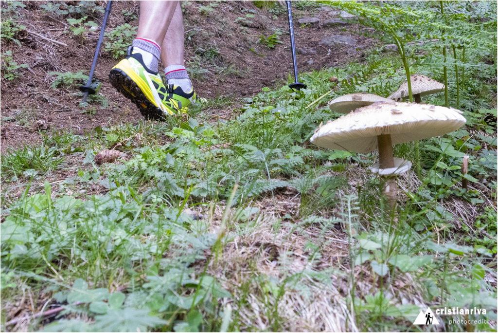 Escursione in Val Grande - Cima Rovaia