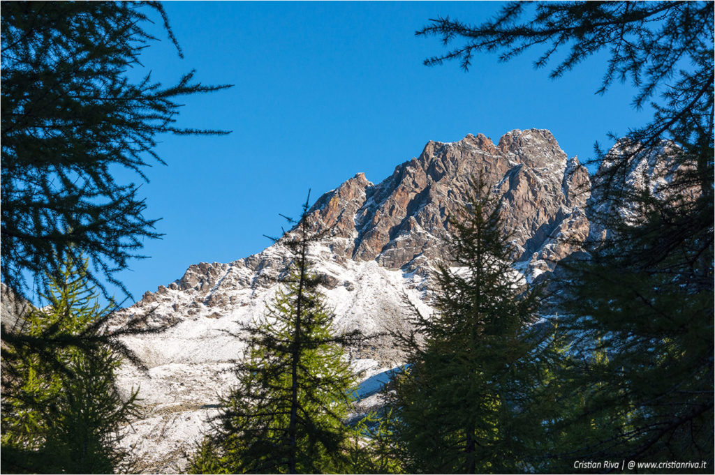 Traversata di Fellaria - Rifugio Carate Brianza