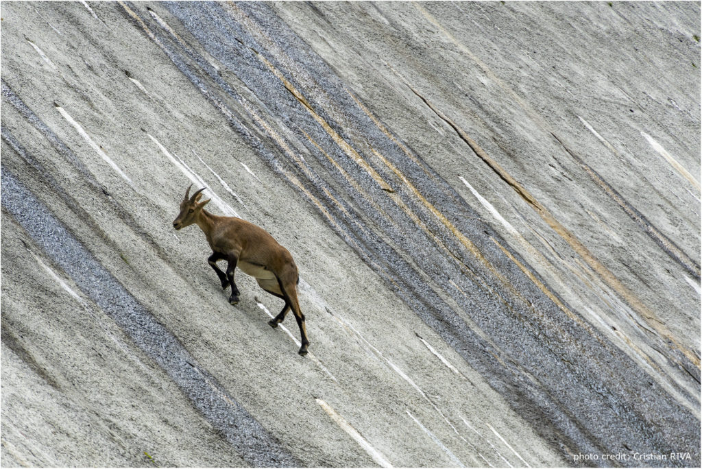 Pizzo Cantolongo