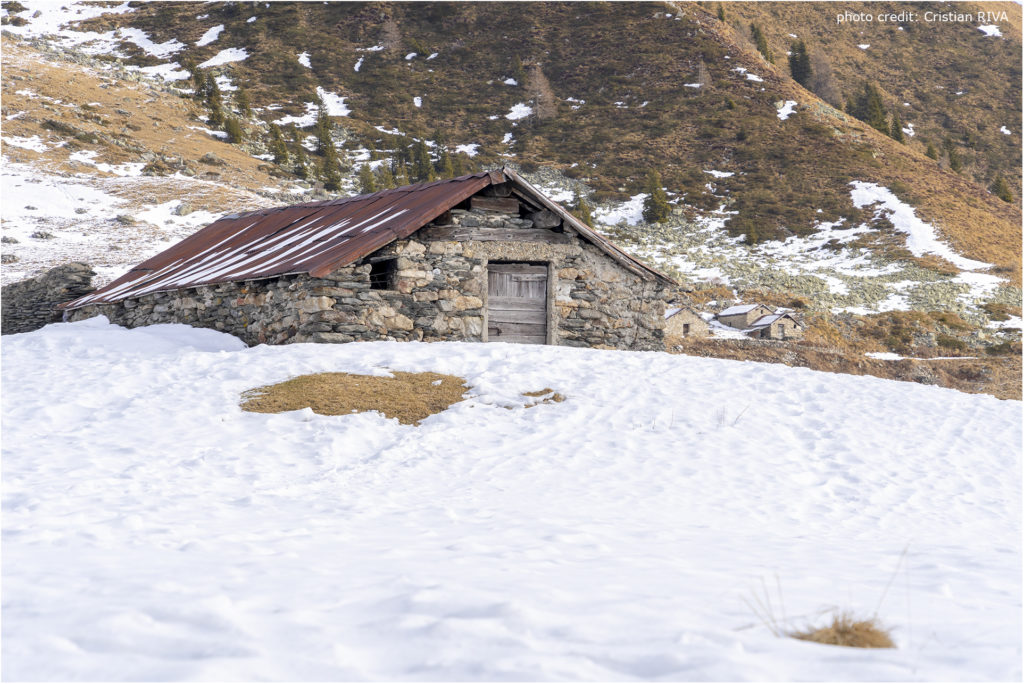 Cima di Lemma