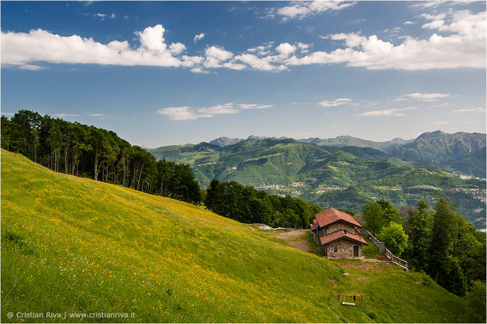 Anello tra i narcisi del monte Linzone