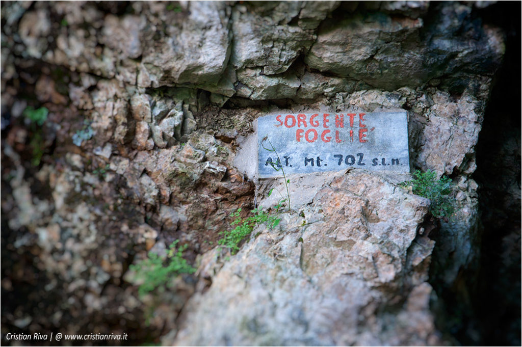 Anello del Monte Cereto