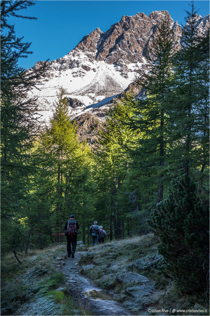 Traversata di Fellaria - Rifugio Carate Brianza