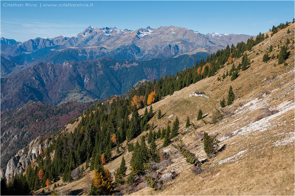 Tra i larici di Monte Colle