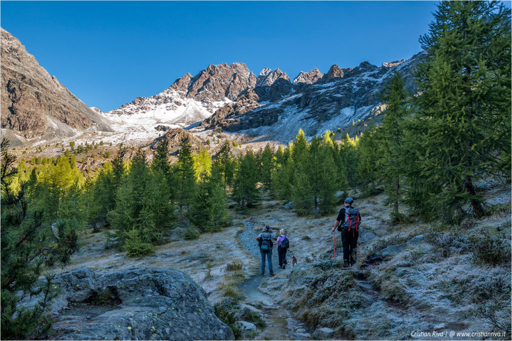 Traversata di Fellaria - Rifugio Carate Brianza