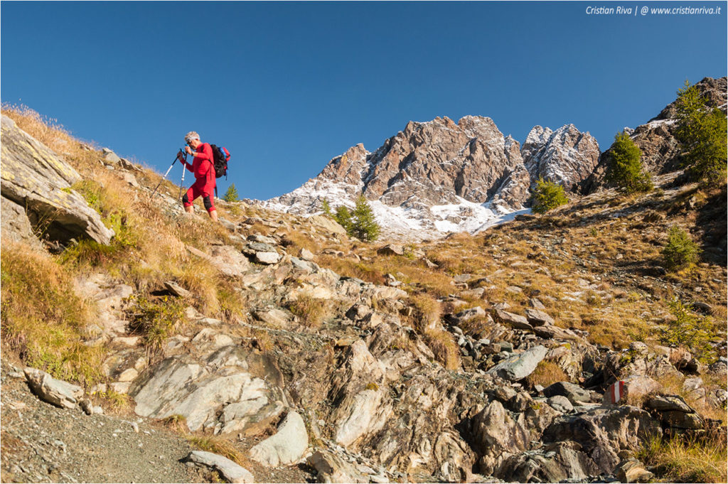 Traversata di Fellaria - Rifugio Carate Brianza