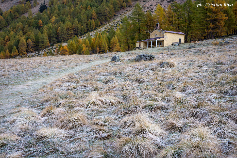 Val Grande di Vezza d'Oglio