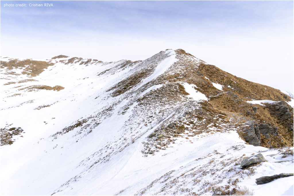 Cima di Lemma