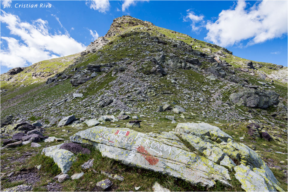 Anello Madonnino e Reseda