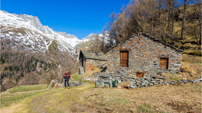 Anello Alpe Oro