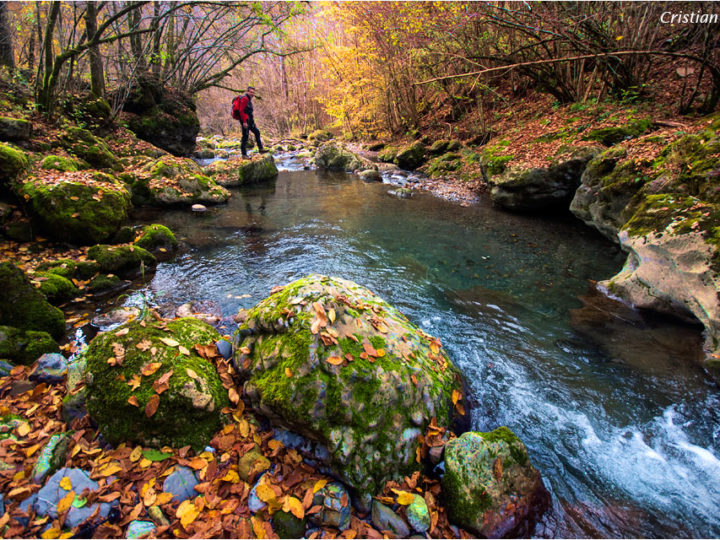 Valle Asinina ad anello