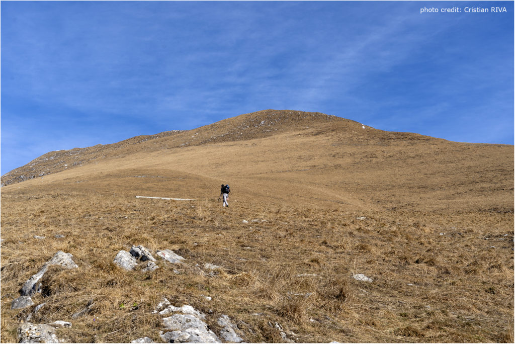 Monte Vaccaro