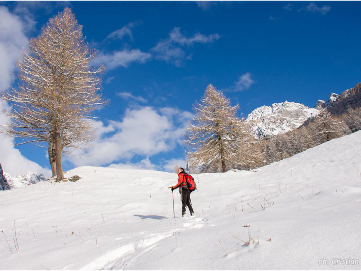 Ciaspolata in Val Cane’