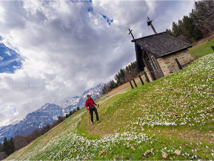 Monte Pigolota: nella terra dei crocus