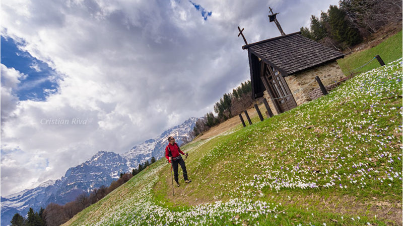 Monte Pigolota: nella terra dei crocus