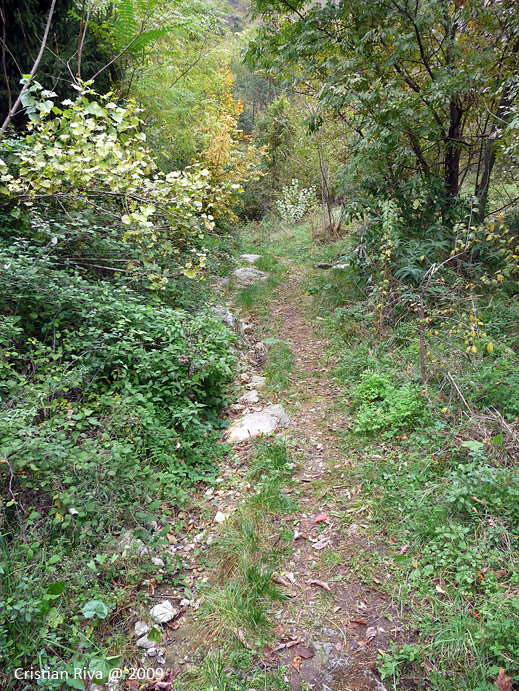 Ferrata dei Pizzetti