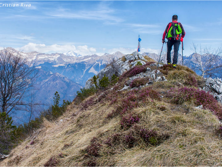 Pizzo di Mezzodì