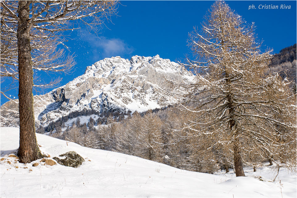 Ciaspolata in Val Canè: panorama