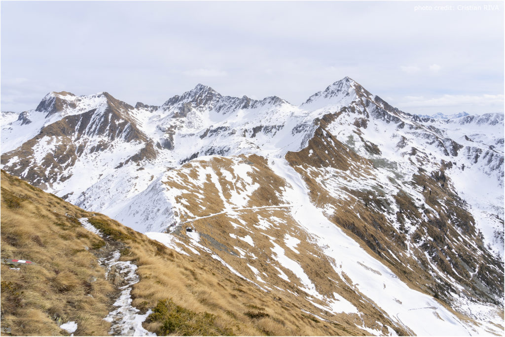 Cima di Lemma