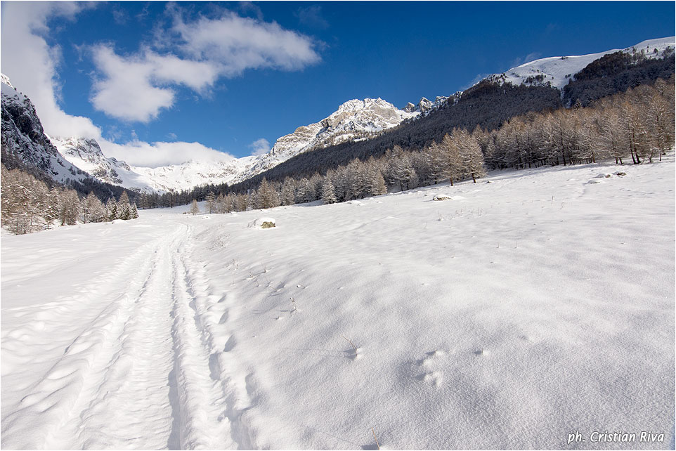 Ciaspolata in Val Canè