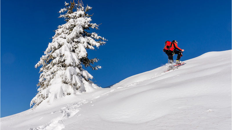 Ciaspolata verso il Monte Arete