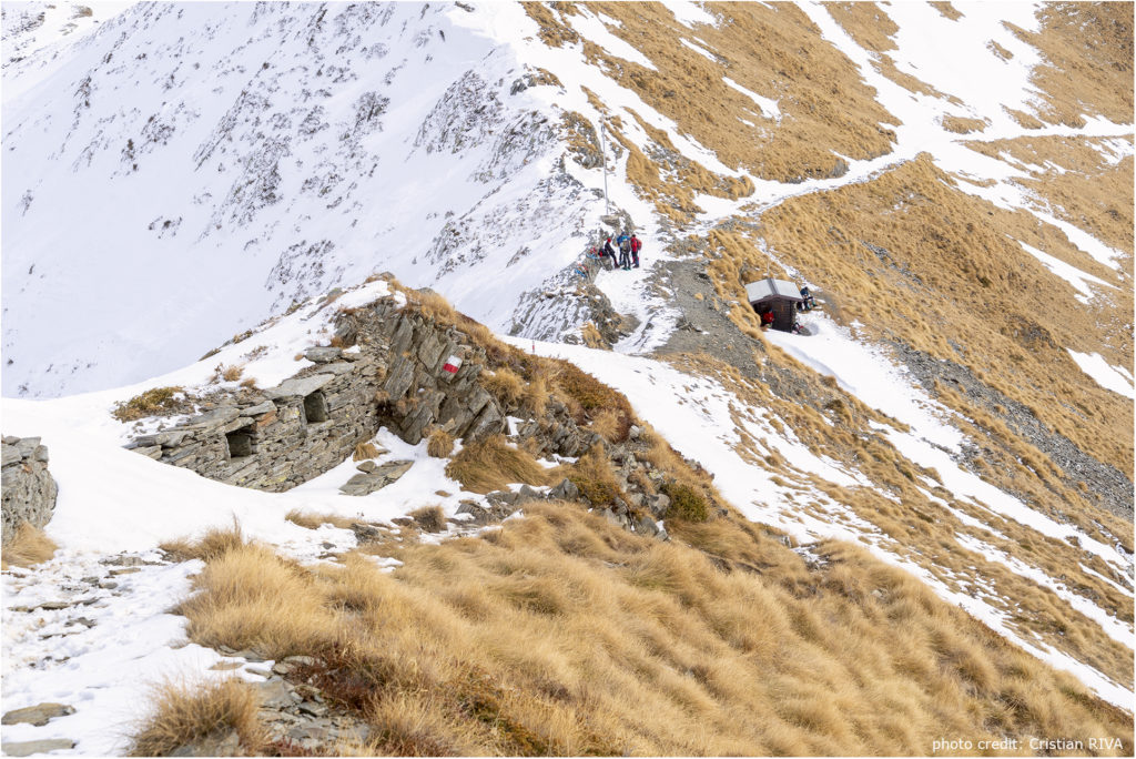 Cima di Lemma