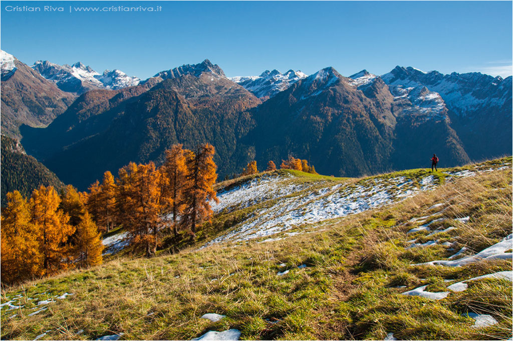 Tra i larici di Monte Colle