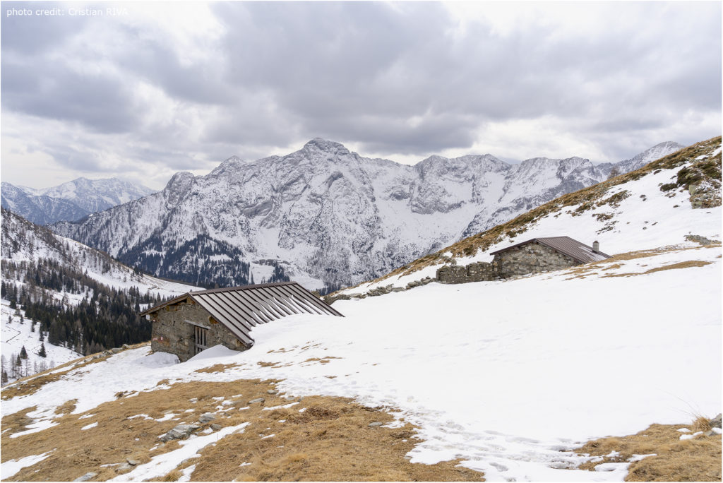Cima di Lemma