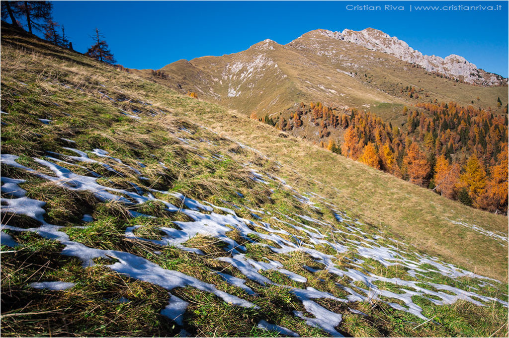 Tra i larici di Monte Colle