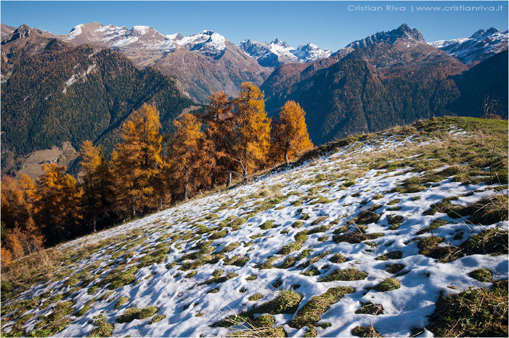 Tra i larici di Monte Colle