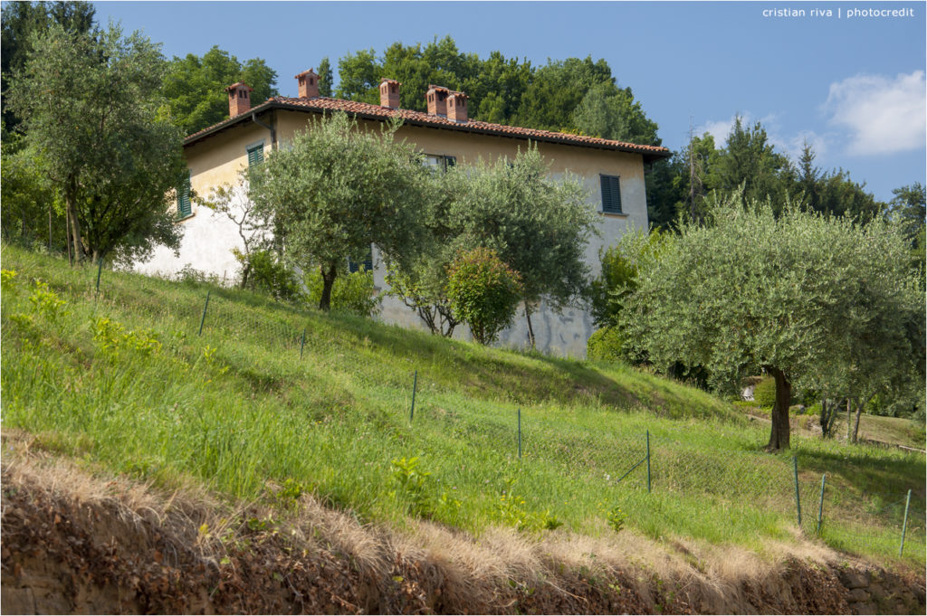 Bergamo - Le vie del Verde