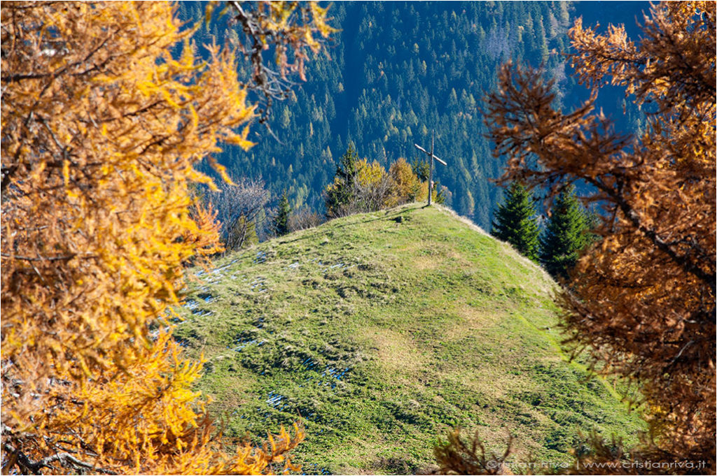 Tra i larici di Monte Colle