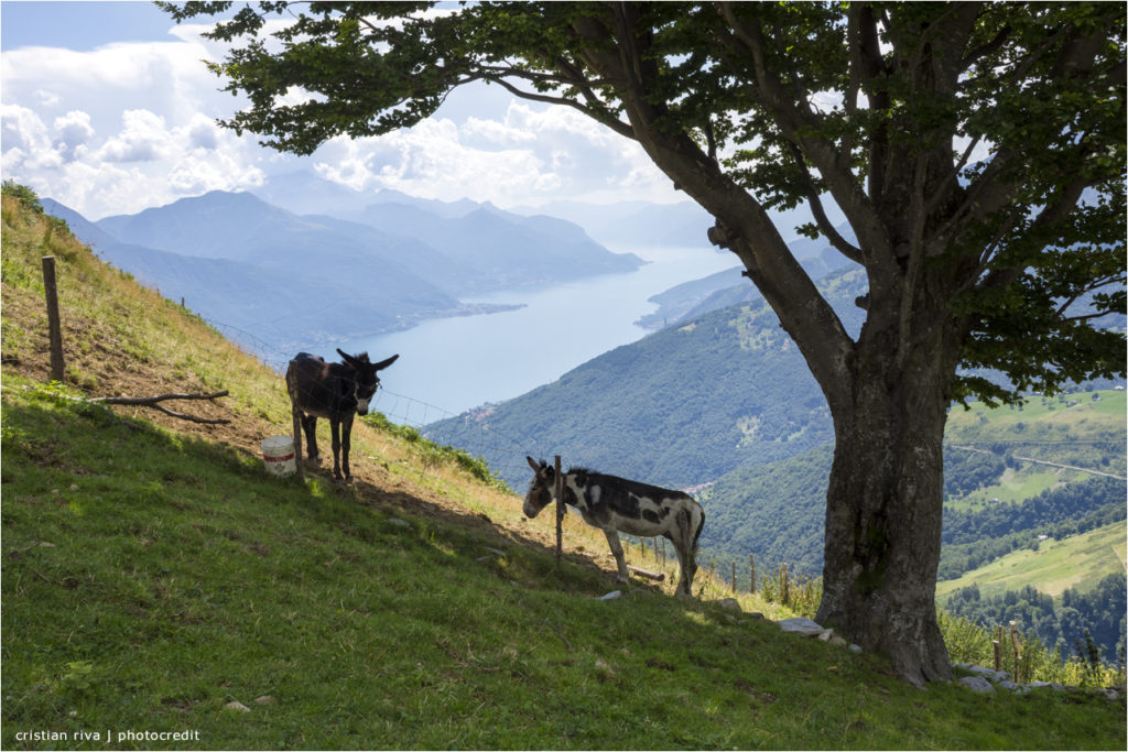 Monte Duria