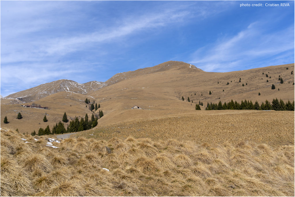 Monte Vaccaro