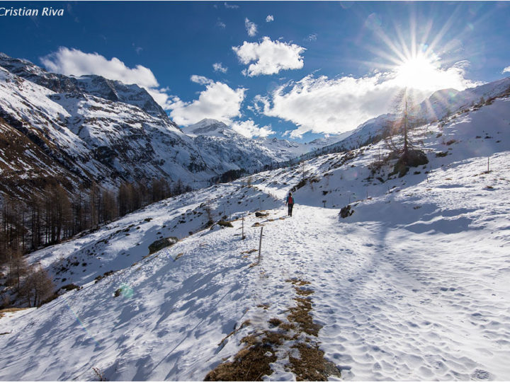 Val Fex in Engadina