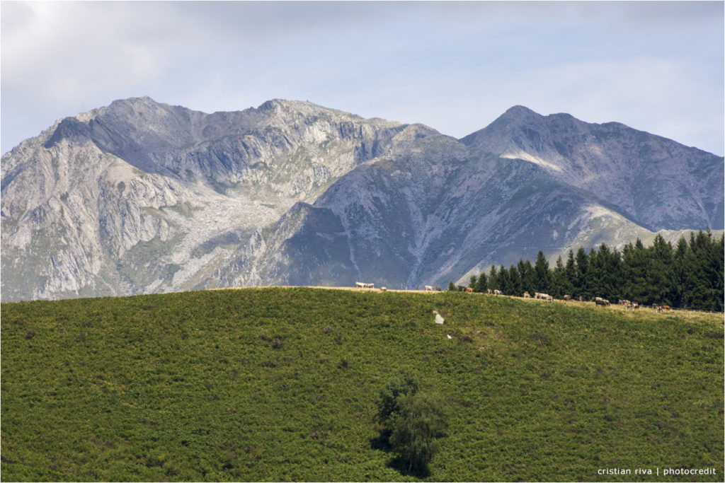 Monte Duria