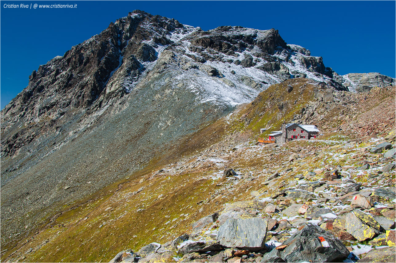 Traversata Fellaria - Rifugi Carate e Bignami